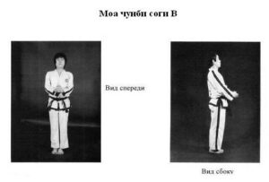 chunbi-sogi-moa-b