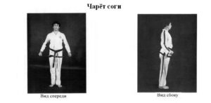 sogi-charyot