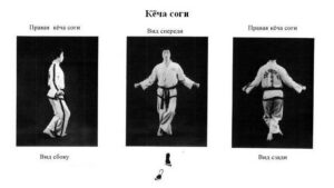 sogi-kycha