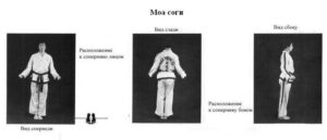 sogi-moa