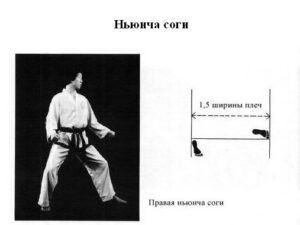 sogi-nunja