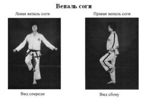 sogi-vepal